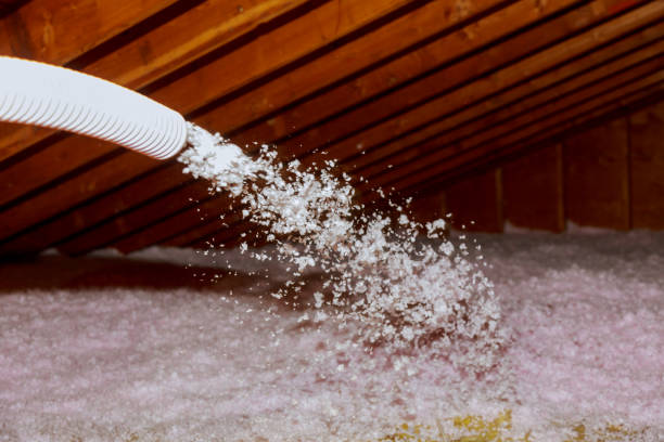 Best Eco-Friendly Insulation in Prospect, PA