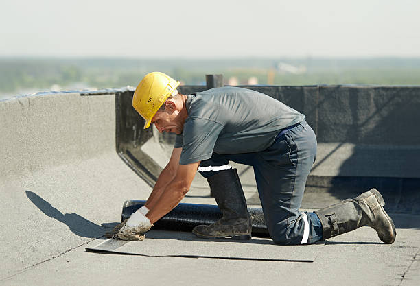 Best Commercial Insulation in Prospect, PA