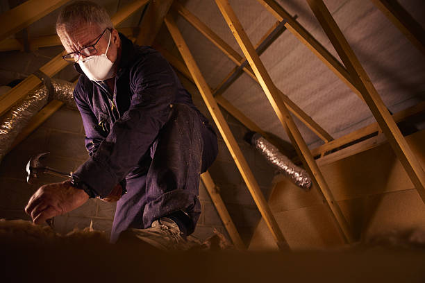 Types of Insulation We Offer in Prospect, PA