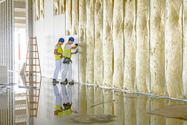 Best Cellulose Insulation in Prospect, PA